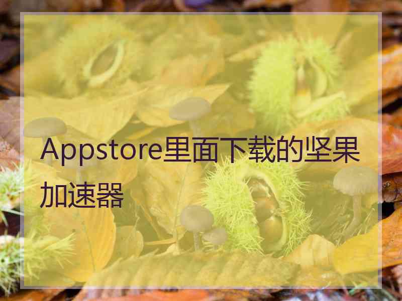 Appstore里面下载的坚果加速器