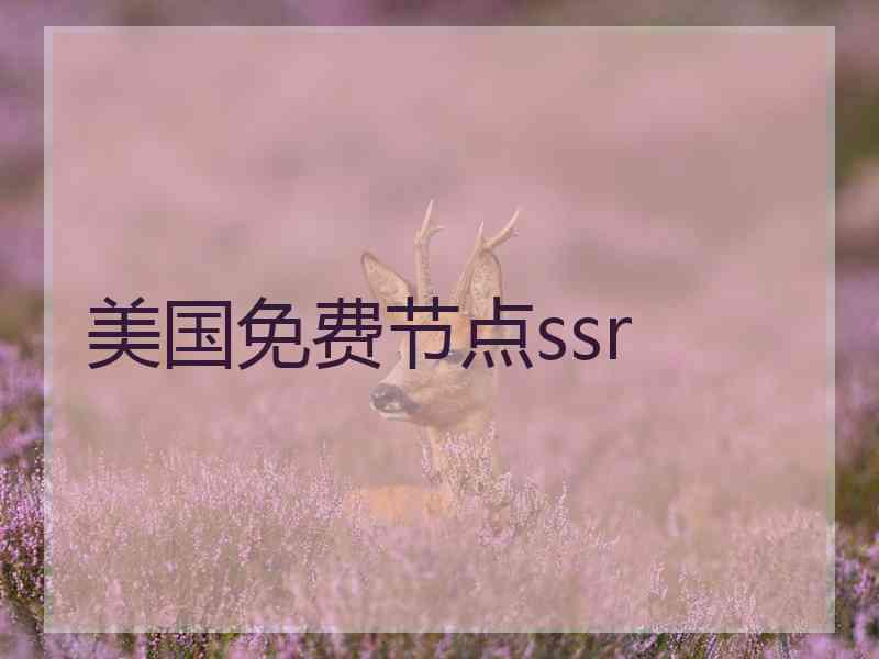 美国免费节点ssr