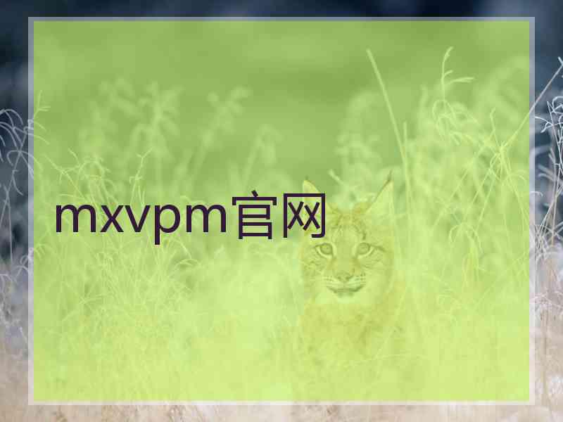 mxvpm官网