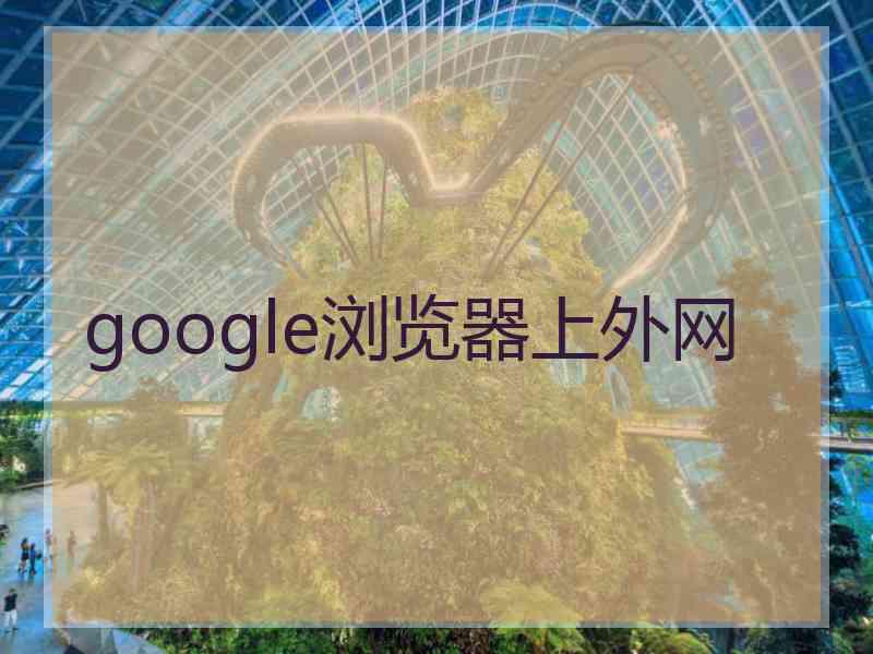 google浏览器上外网