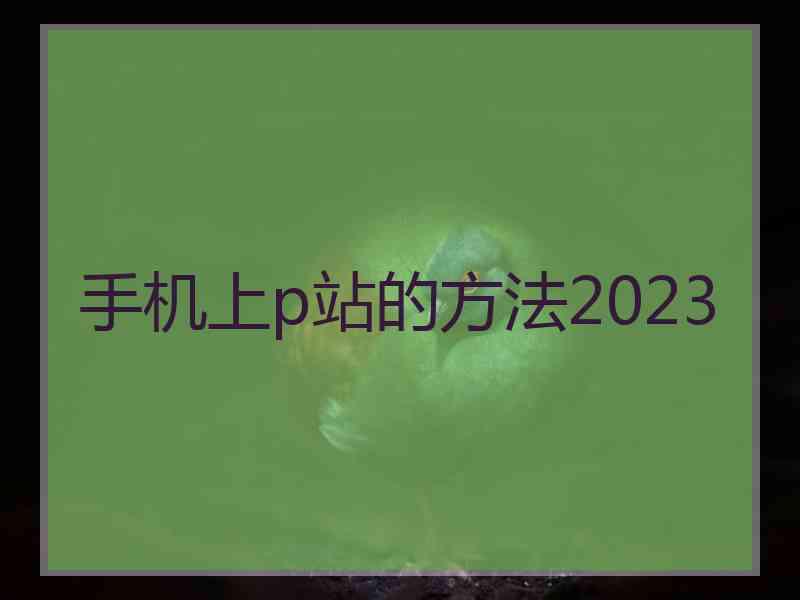 手机上p站的方法2023