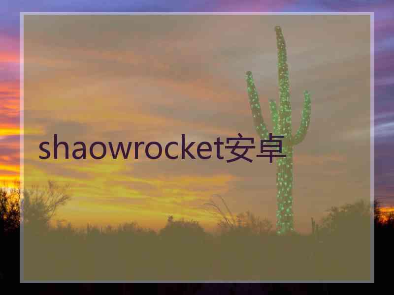 shaowrocket安卓