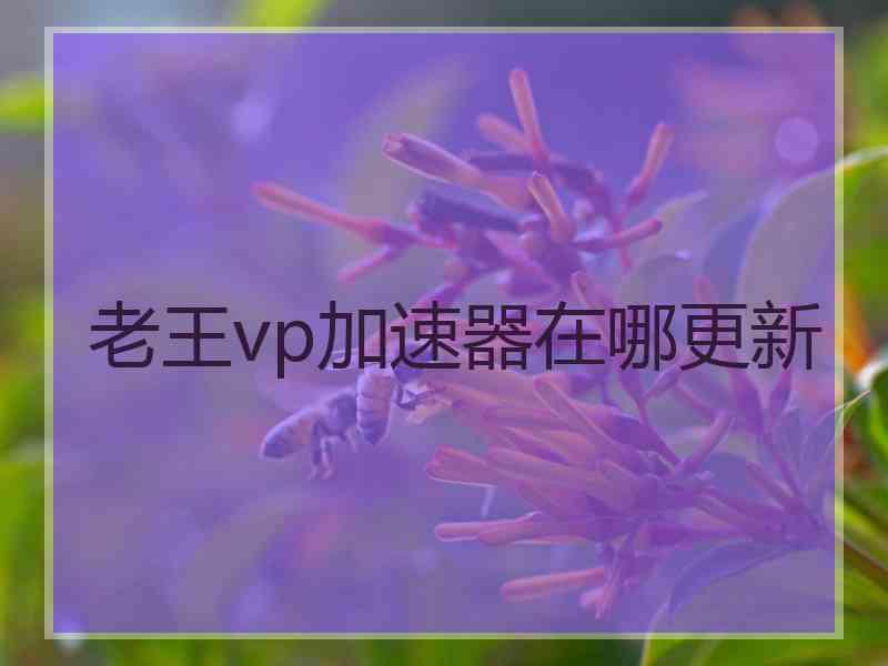 老王vp加速器在哪更新