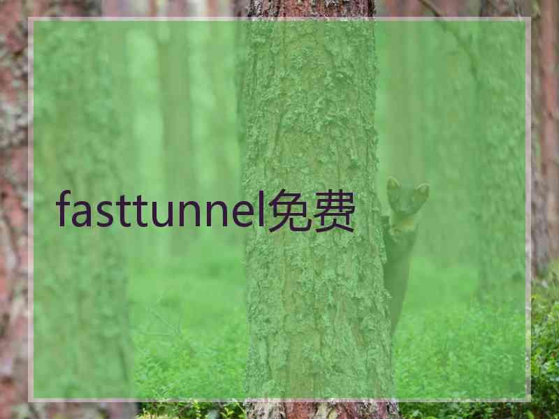 fasttunnel免费