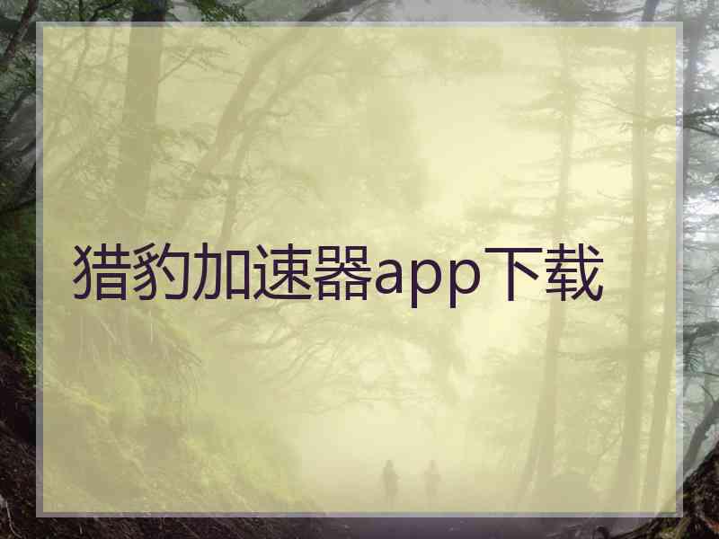 猎豹加速器app下载