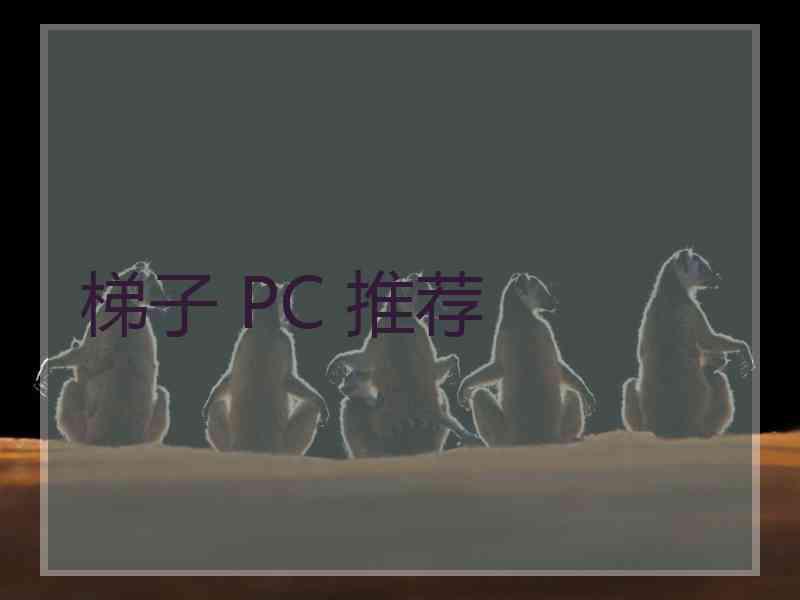 梯子 PC 推荐