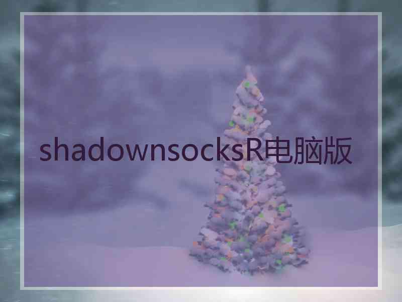 shadownsocksR电脑版