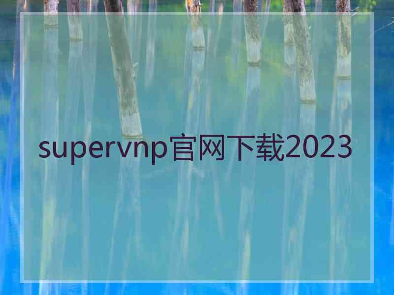 supervnp官网下载2023