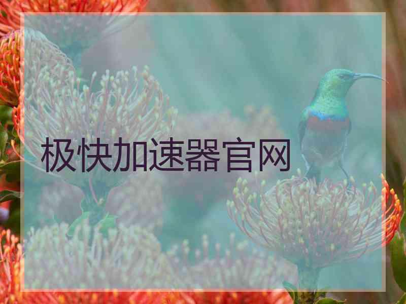 极快加速器官网