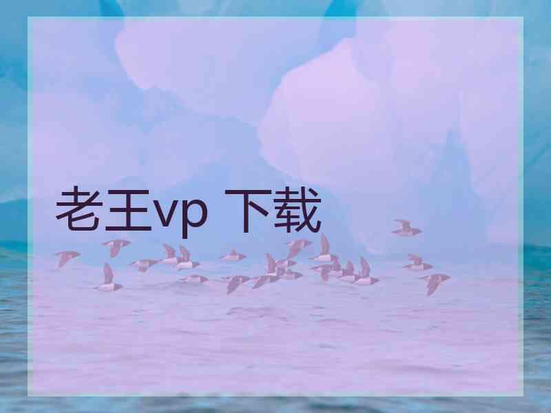 老王vp 下载