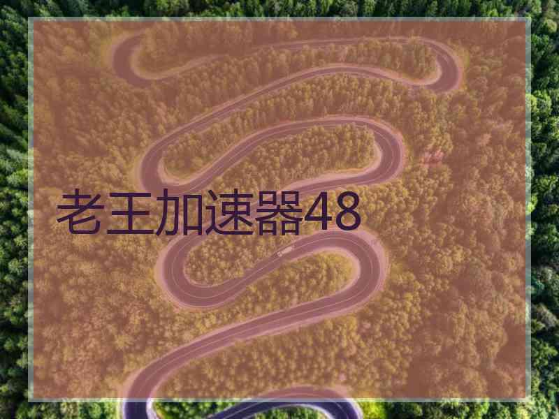 老王加速器48