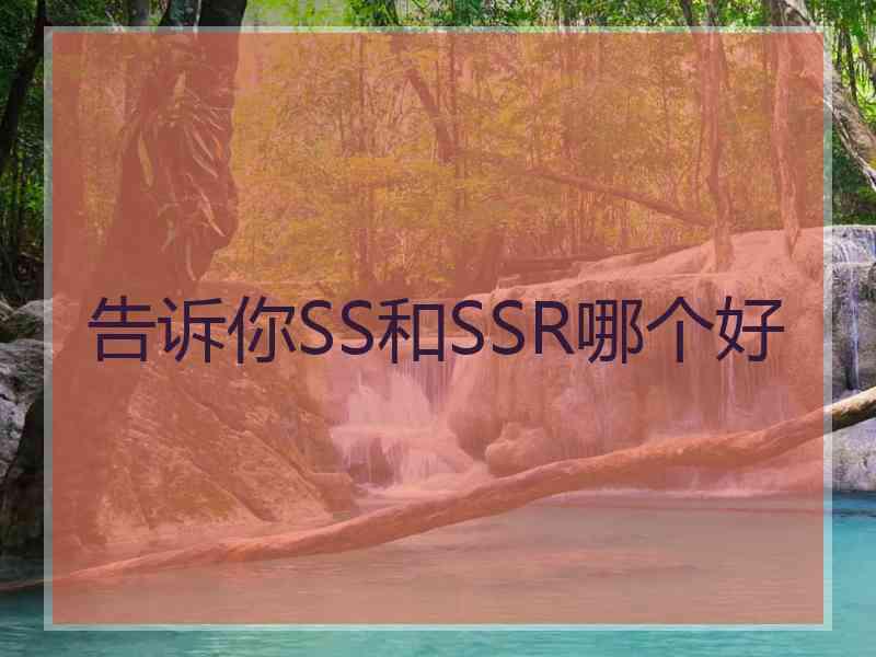 告诉你SS和SSR哪个好