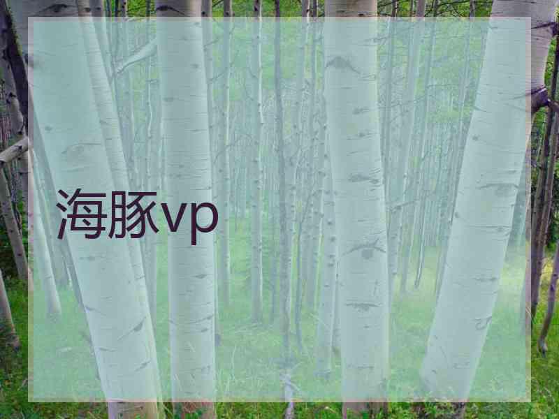 海豚vp