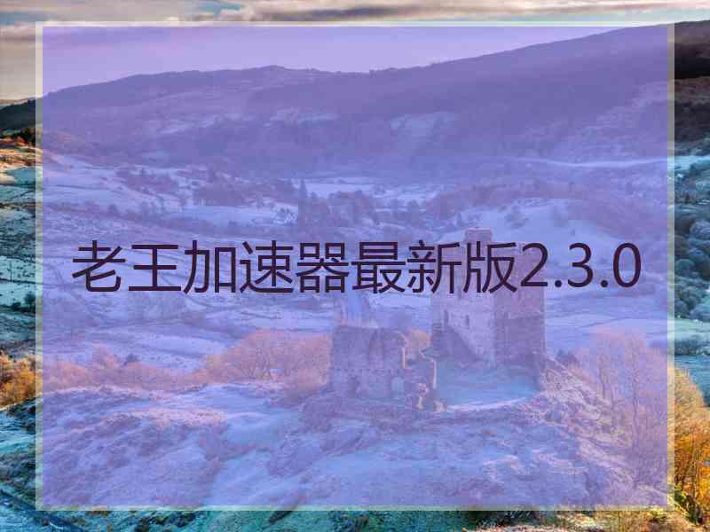 老王加速器最新版2.3.0