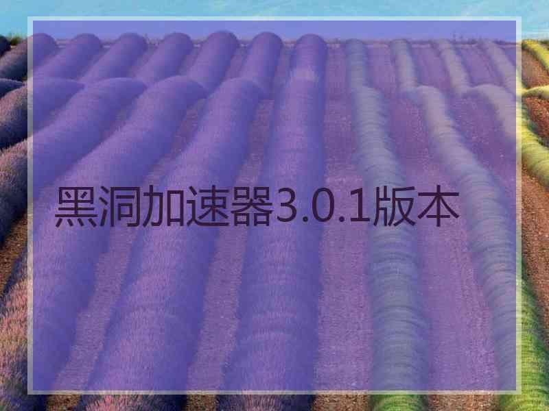 黑洞加速器3.0.1版本