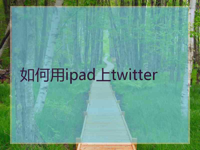 如何用ipad上twitter