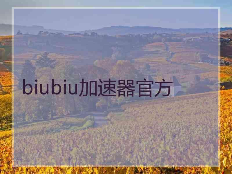 biubiu加速器官方