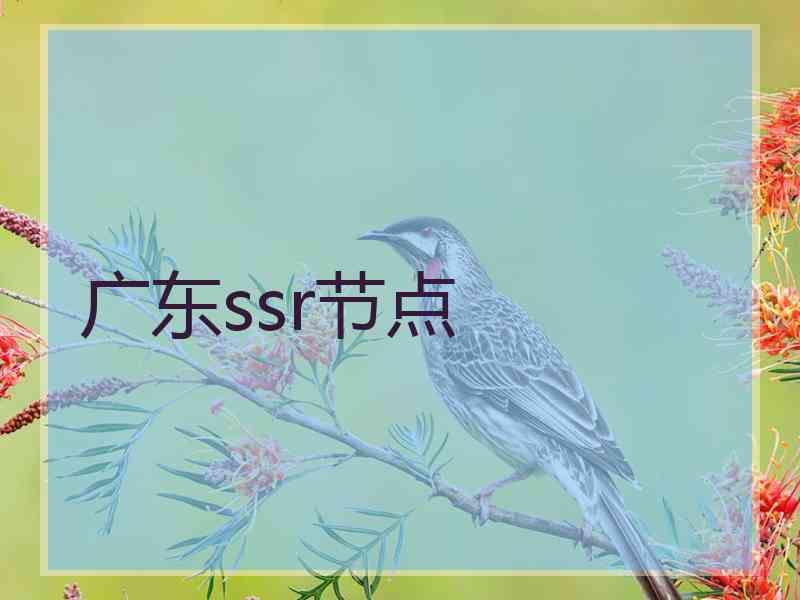 广东ssr节点