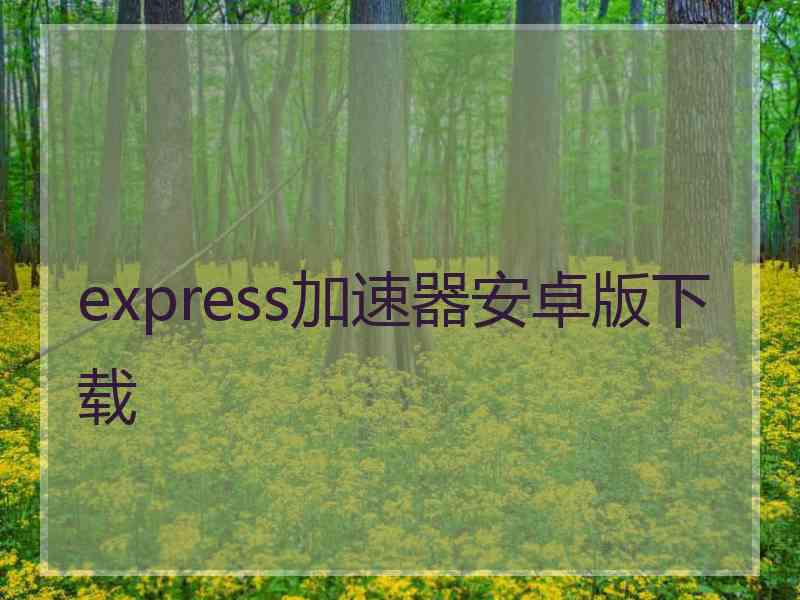 express加速器安卓版下载