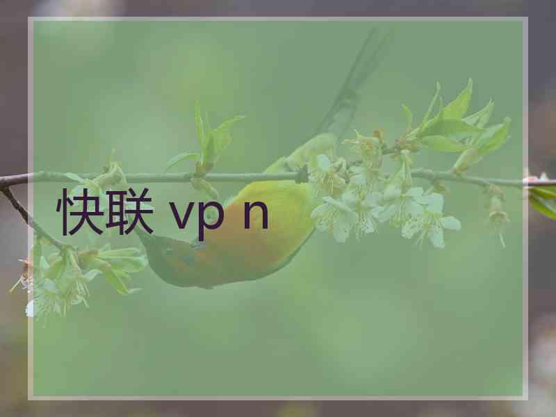 快联 vp n