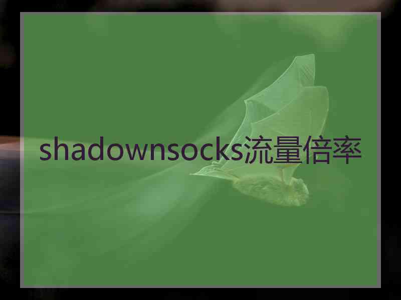 shadownsocks流量倍率