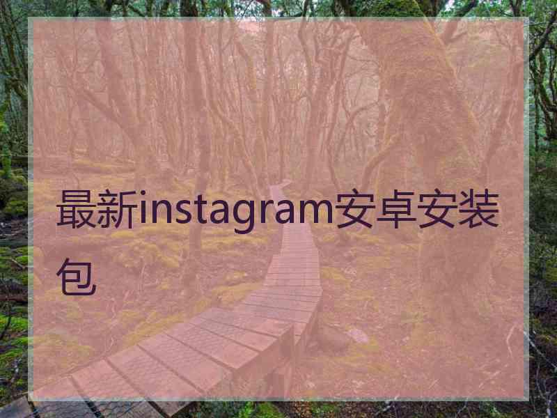 最新instagram安卓安装包