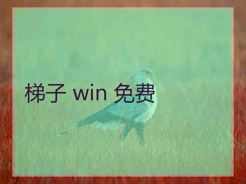 梯子 win 免费