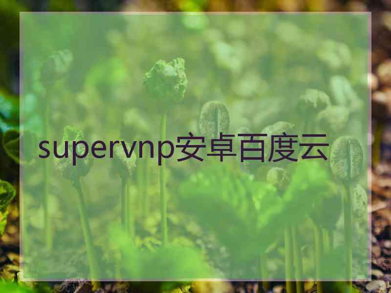 supervnp安卓百度云