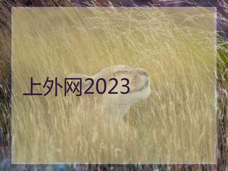 上外网2023