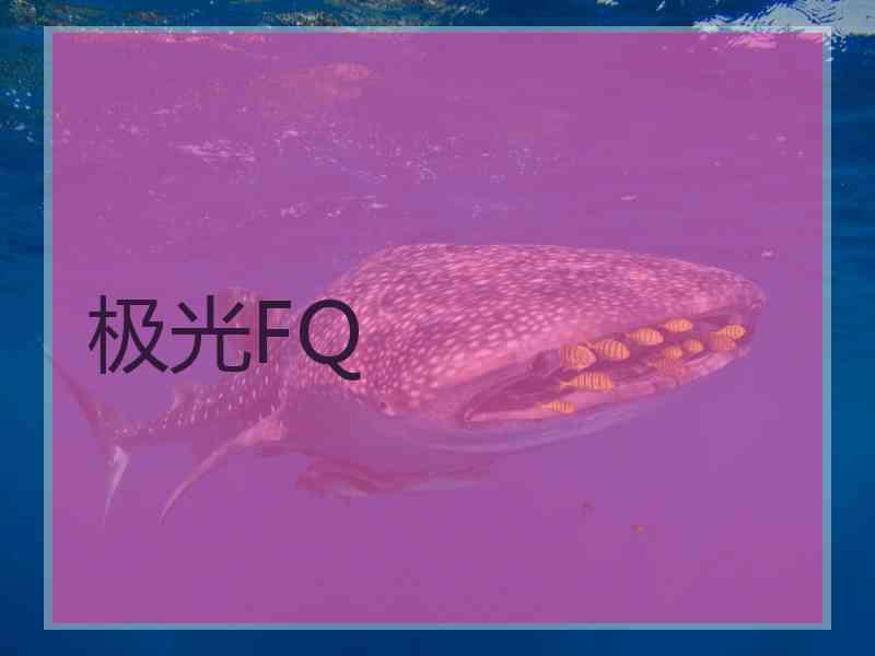 极光FQ