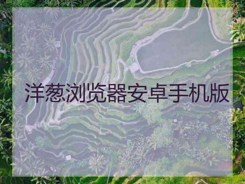 洋葱浏览器安卓手机版