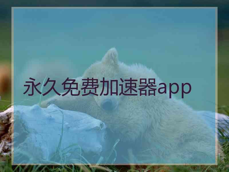 永久免费加速器app