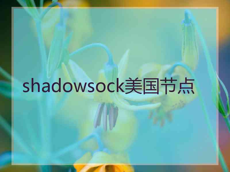 shadowsock美国节点