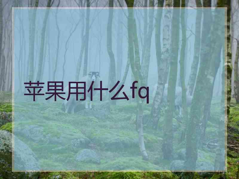 苹果用什么fq