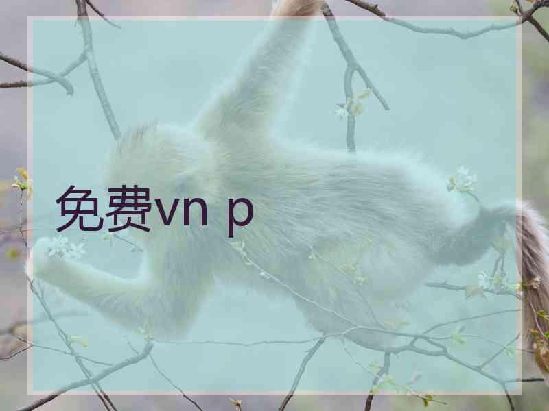 免费vn p