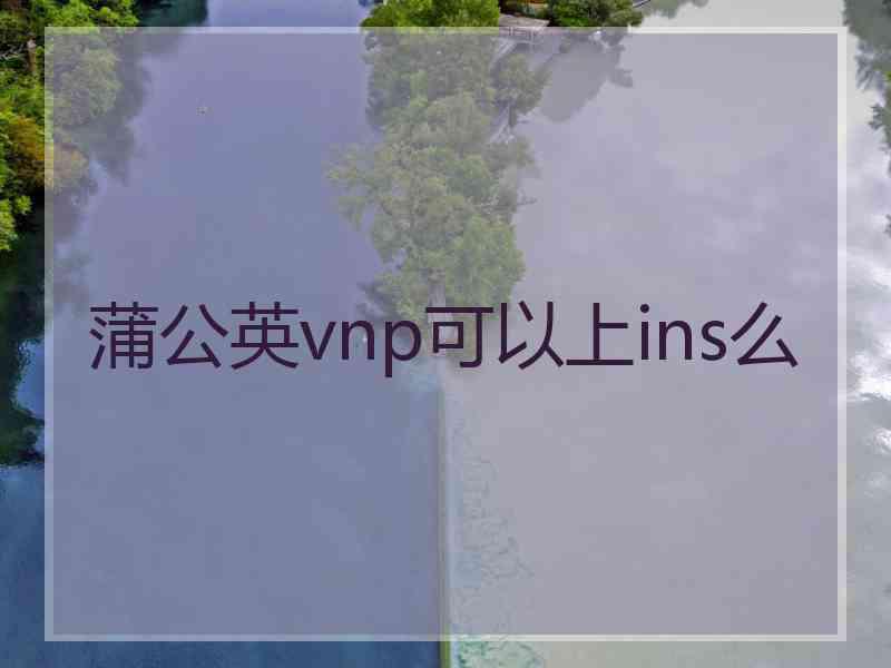 蒲公英vnp可以上ins么