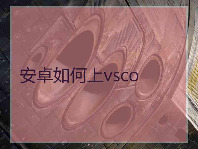 安卓如何上vsco