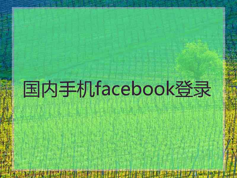 国内手机facebook登录