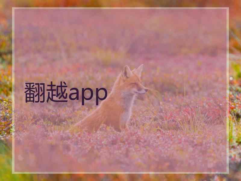 翻越app