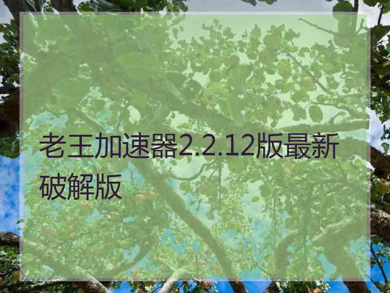 老王加速器2.2.12版最新破解版