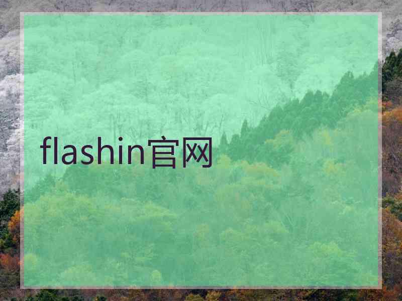 flashin官网