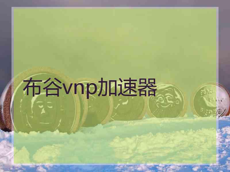 布谷vnp加速器