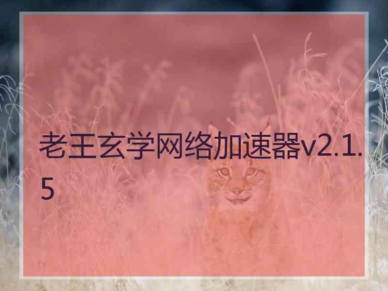 老王玄学网络加速器v2.1.5