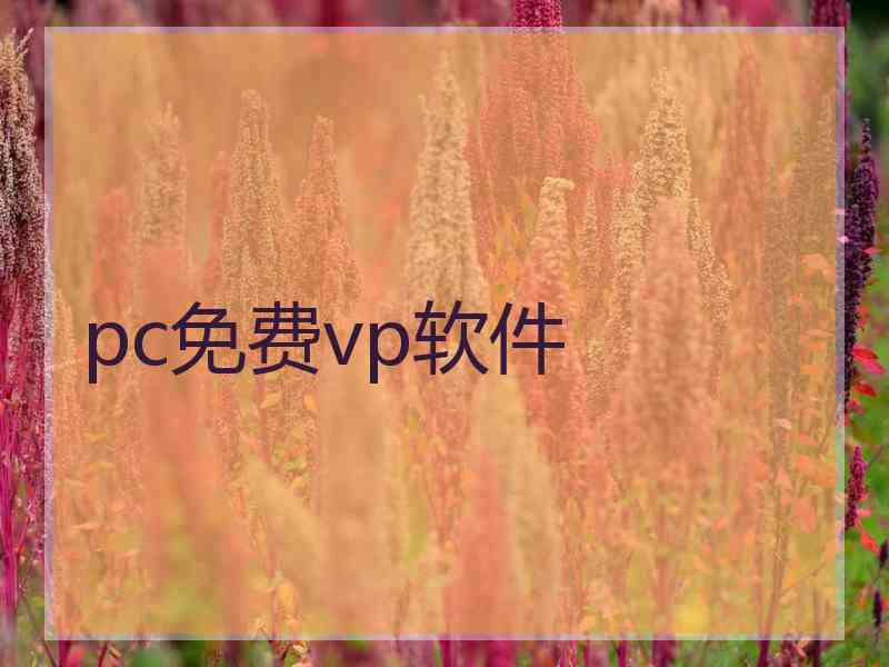 pc免费vp软件