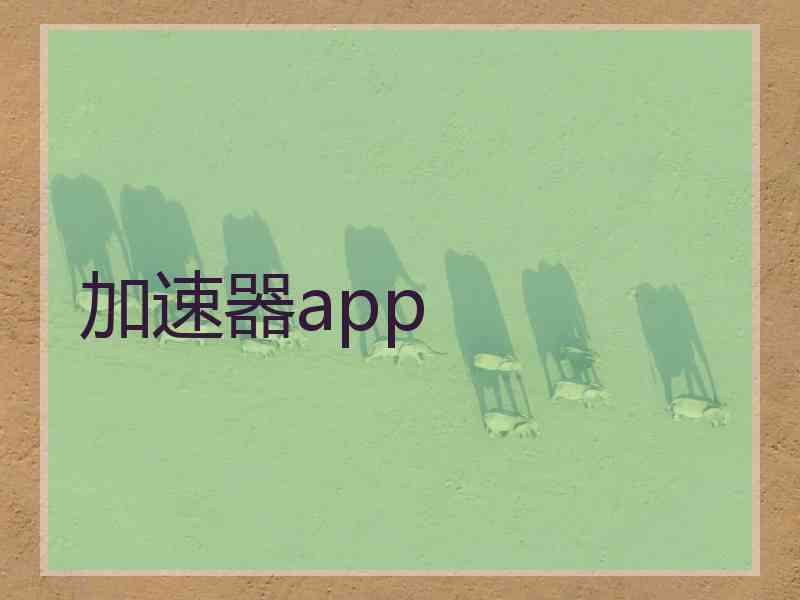 加速器app