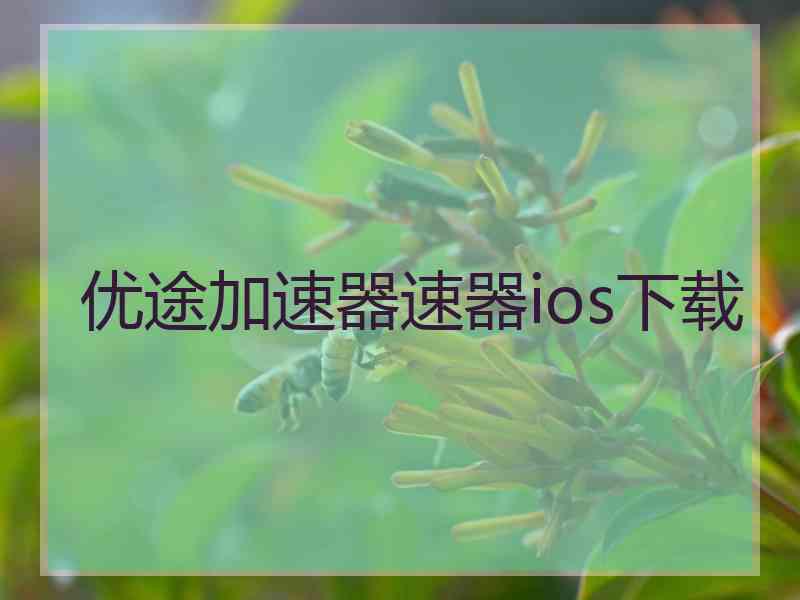 优途加速器速器ios下载