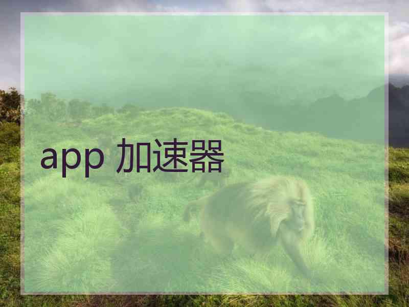 app 加速器