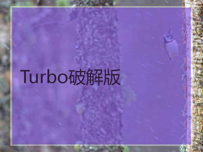 Turbo破解版