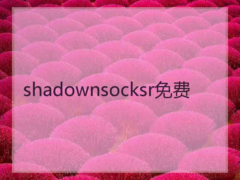 shadownsocksr免费