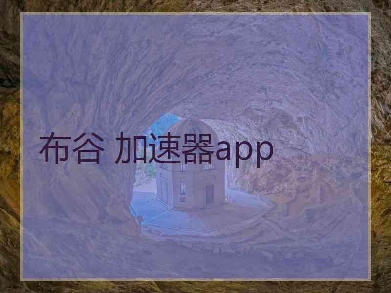 布谷 加速器app